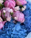 Букет с пионами и гортензиями Космос