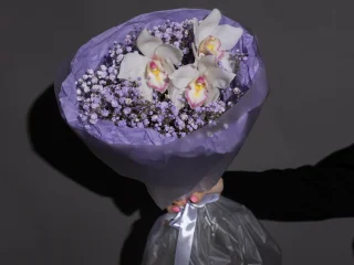 Коллективу