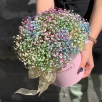 Гипсофила радужная в коробочке