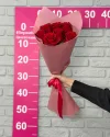 Букет 7 красных роз Эквадор 50см в пленке